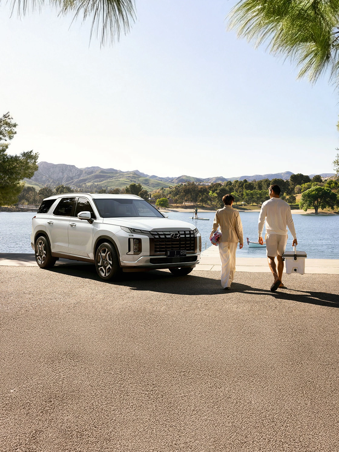 Palisade with Navigation Signature 4WD - Foto 4
